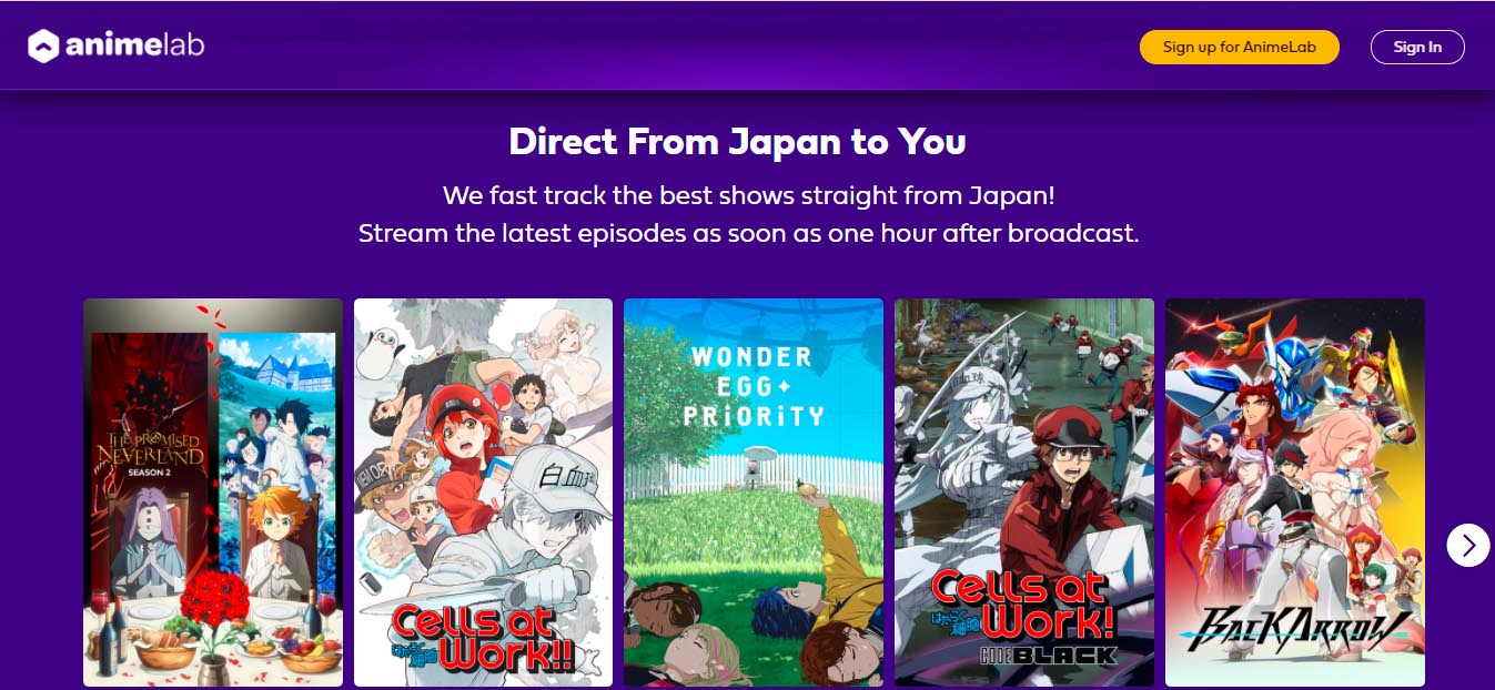 CnGal-CnGal 中文GalGame资料站